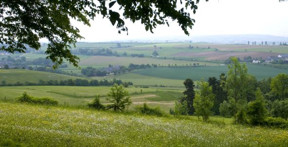 Limburg