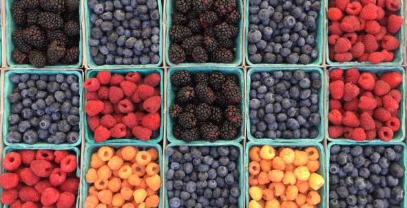 Allemaal bakjes fruit, kleurrijke bramen, frambozen en bessen