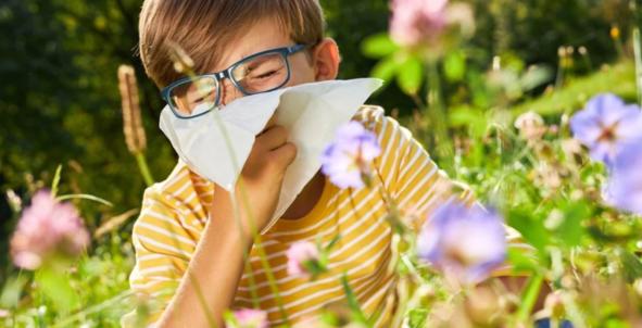 Nieuw algoritme kan allergie bij kinderen vaststellen