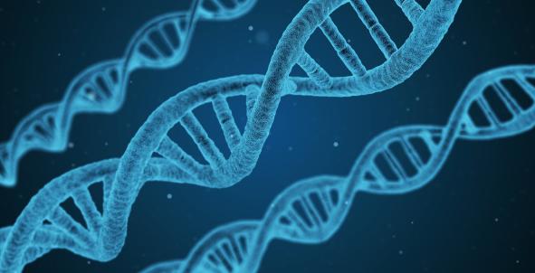 DNA in onze cellen