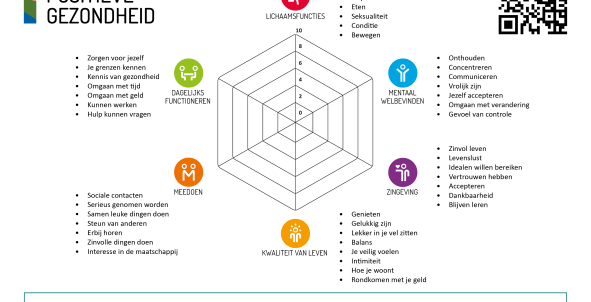 Spinnenweb van Positieve Gezondheid