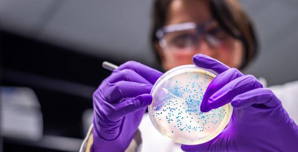 Onderzoeker antibiotica laboratorium