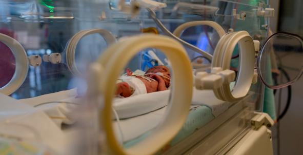 Baby in couveuse BPD