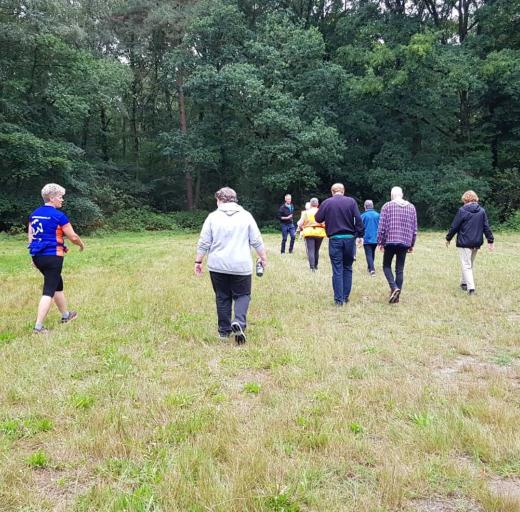 Vitaal Vechtdal Challenge, wandelen, mensen wandelen op gras
