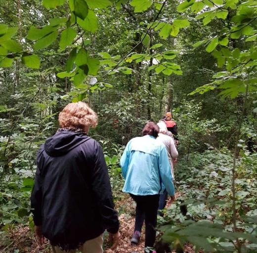 Vitaal Vechtdal Challenge, wandelen in het bos