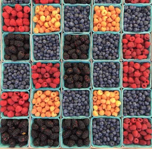 Allemaal bakjes fruit, kleurrijke bramen, frambozen en bessen