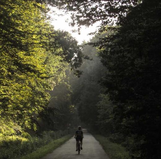 Fietsende vrouw of man in het bos