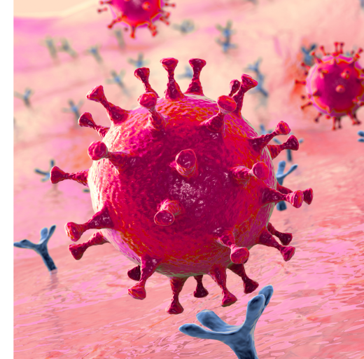 Corona virus receptor