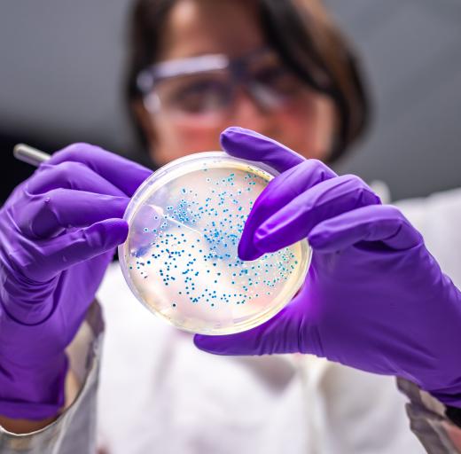 Onderzoeker antibiotica laboratorium