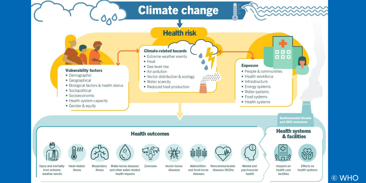 WHO infographic  climate change and heath risks