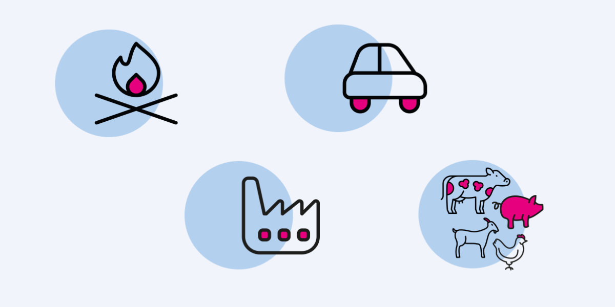 Plaatje_wegverkeer-houtstook-veeteelt-industrie 