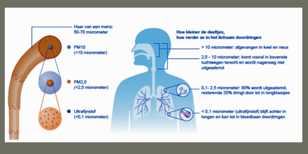 Afbeelding fijnstof en longen