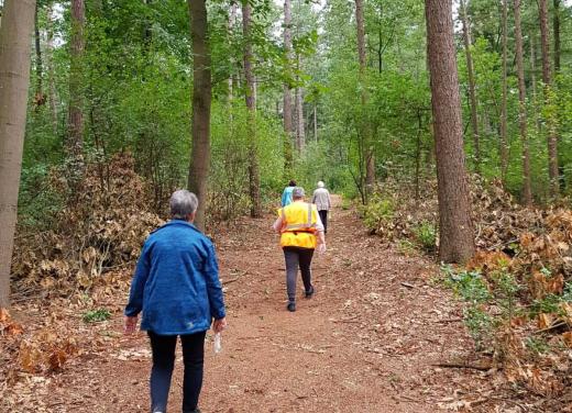 Vitaal Vechtdal Challenge, wandelen op een bospad