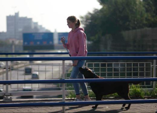 Meisje wandelt met haar hond op een brug