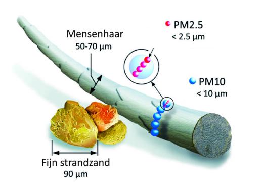 Fijnstofdeeltjes vergeleken met een haar