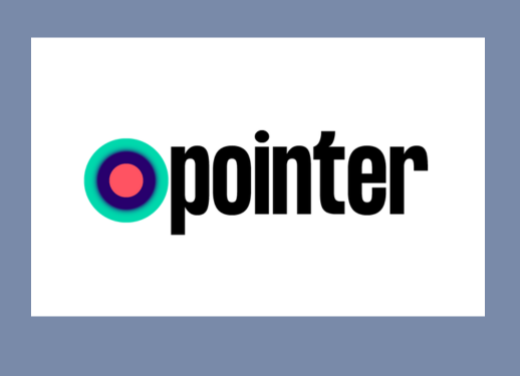 Logo Pointer bij artikel houtstook