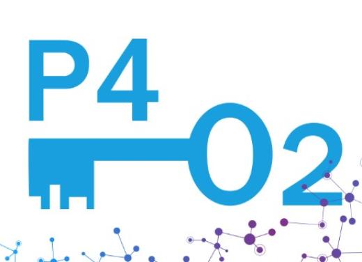 P4O2