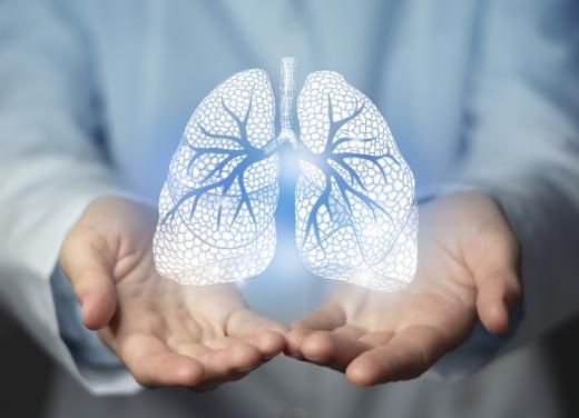 Foto van longen en twee handen