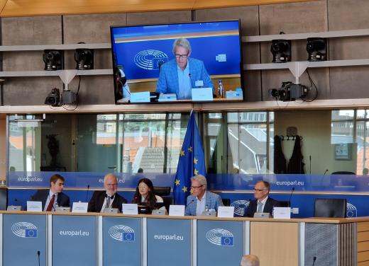 Károly Illy bij het Europees Parlement namens de EFA