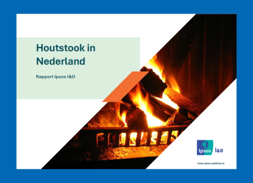 Plaatje rapport 'Houtstook in Nederland'