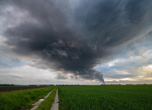 Grote rookpluim van een bosbrand in Nederland