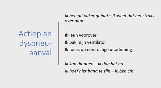 Actieplan