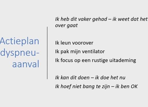 Het actieplan